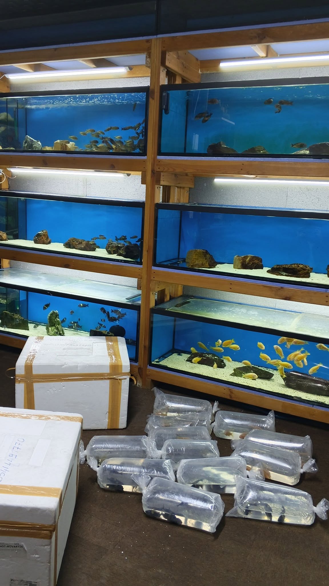 Akvaryum Center Mağaza